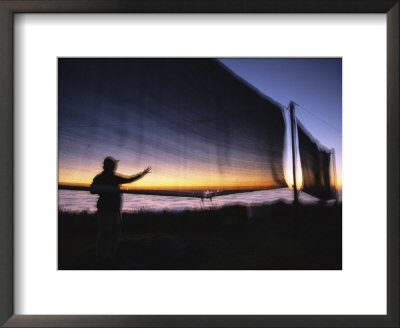 A Man Uses A Device Used For Collecting Water From The Morning Fog by Joel Sartore Pricing Limited Edition Print image