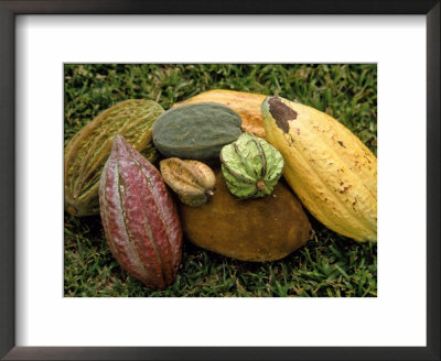 Varieties Of Cocoa, Ghana by Bob Burch Pricing Limited Edition Print image