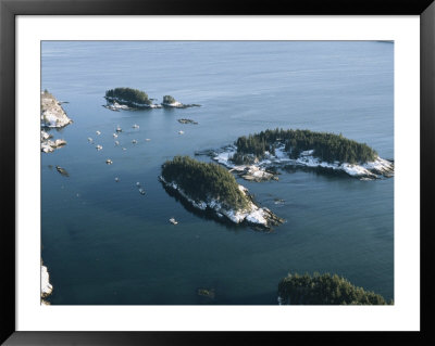 Five Islands From The Air In Winter by Heather Perry Pricing Limited Edition Print image