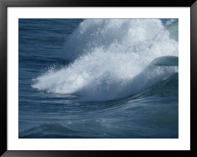 Surf by David Boyer Pricing Limited Edition Print image