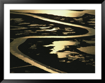 Aerial View Of Blackwater National Wildlife Refuge by Skip Brown Pricing Limited Edition Print image