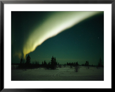 The Aurora Borealis Glows Brightly Over Churchill by Norbert Rosing Pricing Limited Edition Print image