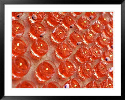 Offering Light In A Buddhist Temple, Malaysia by Michele Molinari Pricing Limited Edition Print image