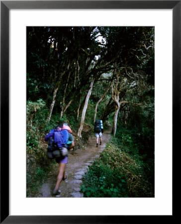 Hiker And Porter On Inca Trail To Machu Picchu Above Llulluchayoc, Cuzco, Peru by Mark Daffey Pricing Limited Edition Print image