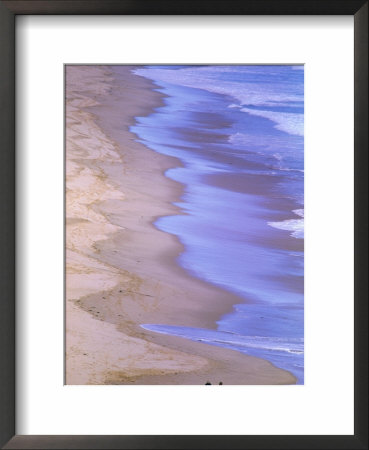 Family Walking Along Back Beach Shoreline, Sorrento, Victoria, Australia by Christopher Groenhout Pricing Limited Edition Print image