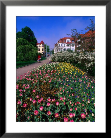 Spring Flowers In Angelholm City Park, Angelholm, Skane, Sweden by Anders Blomqvist Pricing Limited Edition Print image