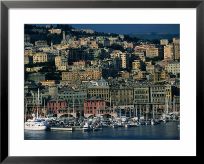City Above Port And Marina, Genova, Liguria, Italy by Dallas Stribley Pricing Limited Edition Print image