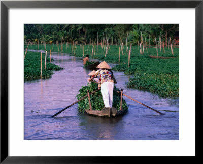 Women Rowing To The Market On The Mekong Delta, Vietnam by John Banagan Pricing Limited Edition Print image