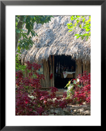 Mayan Woman Sewing Embroidered Clothing, Campamento Hidalgo, Mexico by Lisa S. Engelbrecht Pricing Limited Edition Print image