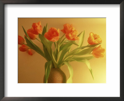 Vase Of Tulips by Linc Cornell Pricing Limited Edition Print image
