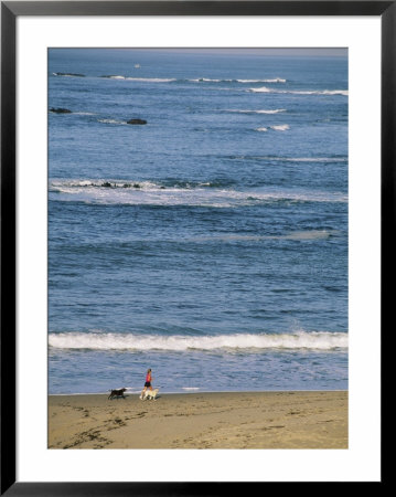 A Woman And Two Dogs Walk Along The Shorline by Roy Toft Pricing Limited Edition Print image