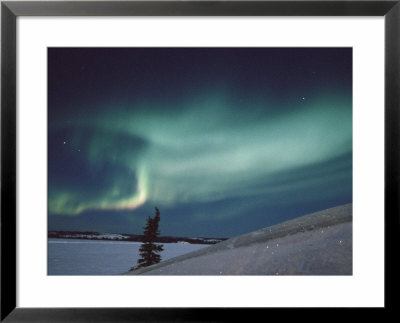A Brilliant Display Of Aurorae by Paul Nicklen Pricing Limited Edition Print image