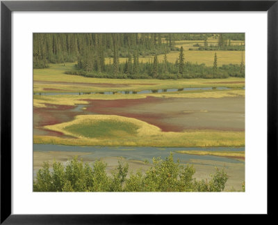 Underground Streams Emerge At The Salt Plains In The Park by Raymond Gehman Pricing Limited Edition Print image