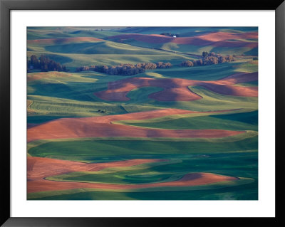 Palouse Region From Steptoe Butte, Whitman County, Washington, Usa by Brent Bergherm Pricing Limited Edition Print image
