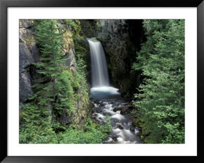 Waterfall And Lush Foliage, Mt. Rainier National Park, Washington, Usa by Gavriel Jecan Pricing Limited Edition Print image