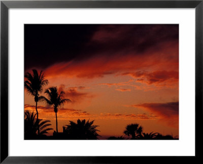 Palm Beach Sunset, Florida, Usa by Nik Wheeler Pricing Limited Edition Print image
