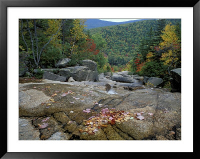 Fall Foliage, Appalachian Trail, White Mountains, New Hampshire, Usa by Jerry & Marcy Monkman Pricing Limited Edition Print image