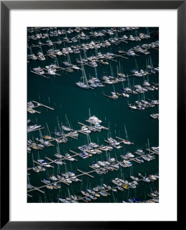 Rows Of Yachts Moored At Westhaven Marina, Waitemata Harbour, Auckland, Auckland, New Zealand by David Wall Pricing Limited Edition Print image