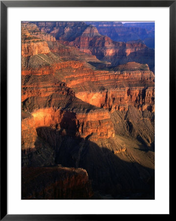 Canyon At Pima Point, Grand Canyon National Park, Usa by John Elk Iii Pricing Limited Edition Print image