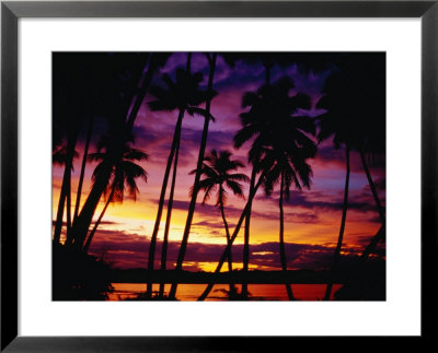Palm Trees On Yanuca Island On The Coral Coast Silhouetted At Sunset, Fiji by Richard I'anson Pricing Limited Edition Print image