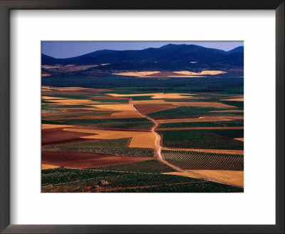 Plains Of La Mancha, Spain by Nicholas Pavloff Pricing Limited Edition Print image