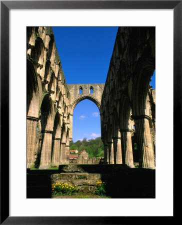 Remains Of Rievaulx Abbey Built In 13Th Century, England by Stephen Saks Pricing Limited Edition Print image