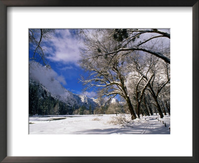 Trees And Mountains, Winter, Yosemite Valley, U.S.A. by Thomas Winz Pricing Limited Edition Print image