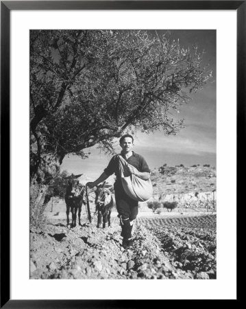 Man Sowing The Land He Has Been Lent By The Village With Wheat by George Rodger Pricing Limited Edition Print image