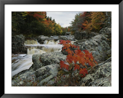 A Creek Rushes Past Autumn-Colored Trees by Raymond Gehman Pricing Limited Edition Print image