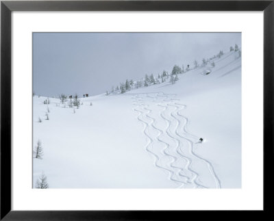 Skiing In Powder Basin, Purcell Mountains, British Columbia by Bill Hatcher Pricing Limited Edition Print image