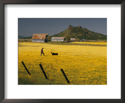 A Man And His Dog Walk Through A Field Of Wildflowers by Phil Schermeister Pricing Limited Edition Print image