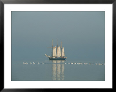 Three-Masted Schooner Shown With Swans In The Early Morning Light by Sisse Brimberg Pricing Limited Edition Print image