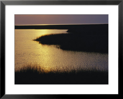 Twilight On A Marsh With Aquatic Grasses by Raymond Gehman Pricing Limited Edition Print image