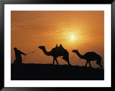 A Silhouetted Man Leads Two Camels At Twilight by Richard Nowitz Pricing Limited Edition Print image