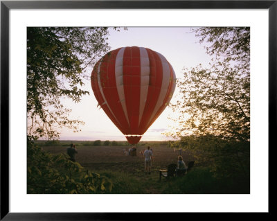 A Hot Air Balloon Lands In A Farm Pasture Near Walton, Nebraska by Joel Sartore Pricing Limited Edition Print image