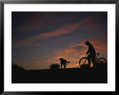 Bicyclist And Pet Silhouetted Against A Sunset by Bobby Model Pricing Limited Edition Print image