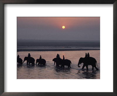 Elephants Lumber Into The River At Sonpur by George F. Mobley Pricing Limited Edition Print image