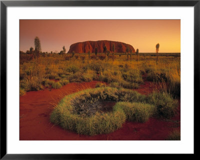 Ayers Rock, Northern Territory, Australia by Doug Pearson Pricing Limited Edition Print image