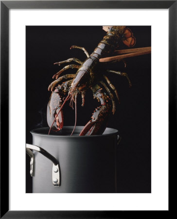 Lobster by Ernie Friedlander Pricing Limited Edition Print image