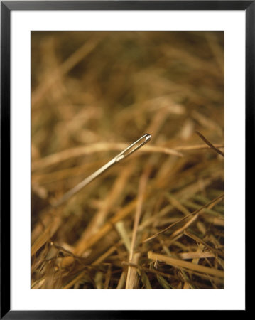 Needle In A Haystack by Terry Why Pricing Limited Edition Print image