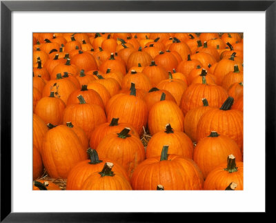 Pumpkins by David Davis Pricing Limited Edition Print image