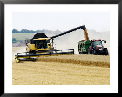 Yellow New Holland Combine Harvester Unloading Grain Into Trailer, Uk by Martin Page Pricing Limited Edition Print image