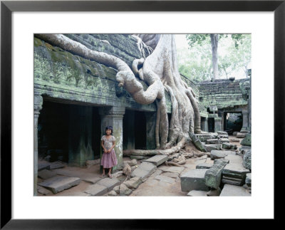 Ta Prohm Temple, Angkor, Cambodia by Angelo Cavalli Pricing Limited Edition Print image