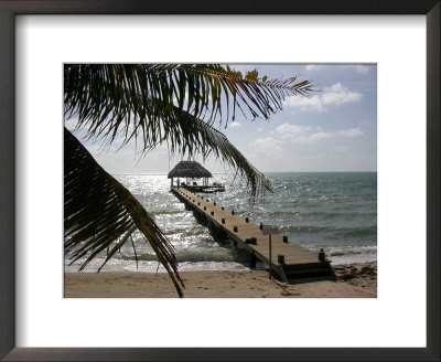 Belize, Tropical Scene Of Dock And Palm Trees by Yvette Cardozo Pricing Limited Edition Print image