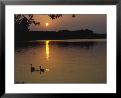 Silhouetted Canadian Geese by Allen Russell Pricing Limited Edition Print image