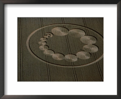 Aerial Of Pattern In Crop Field by Ron Russell Pricing Limited Edition Print image