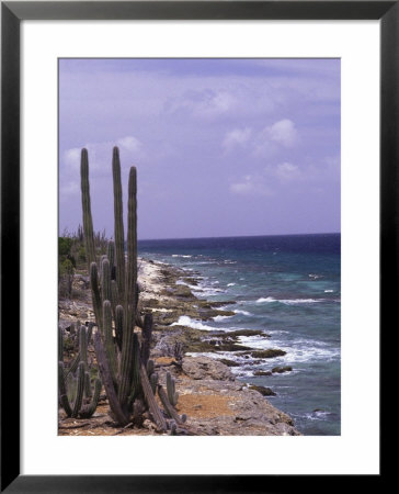 Bonaire, Caribbean by Lauree Feldman Pricing Limited Edition Print image
