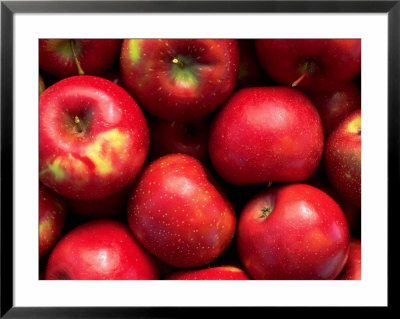 Red Rome Beauty Apples by Inga Spence Pricing Limited Edition Print image