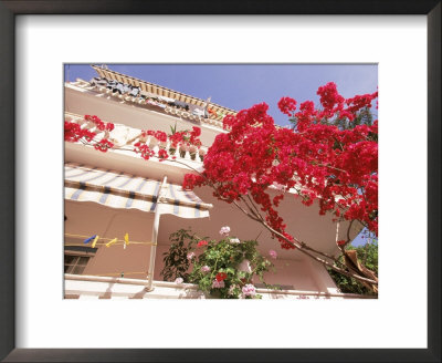 Red Flowers, Clothesline, Epirus, Greece by Walter Bibikow Pricing Limited Edition Print image