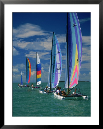 Hobie Cats, In Florida Keys by Murry Sill Pricing Limited Edition Print image